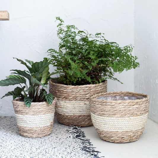 Seagrass Planter Basket: Eco-Friendly Elegance for Plant Lovers