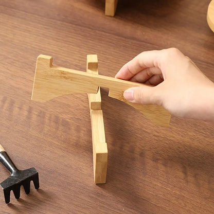 Présentoir de bonsaï en bois élégant pour les amateurs de plantes - Vitrine écologique