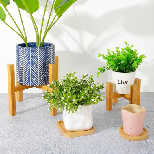 Support de plantes en bois élégant pour bonsaï d'intérieur - Décoration parfaite