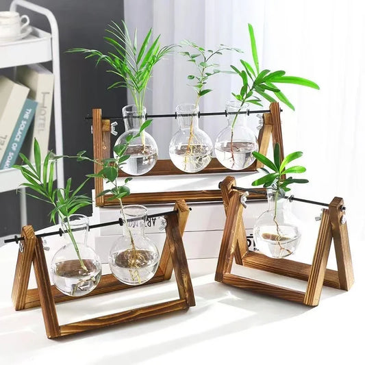 Vase pour plantes de terrarium hydroponique avec support – Décoration intérieure élégante