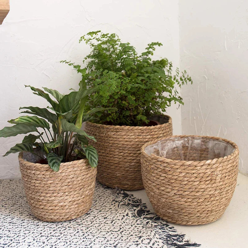 Seagrass Planter Basket: Eco-Friendly Elegance for Plant Lovers